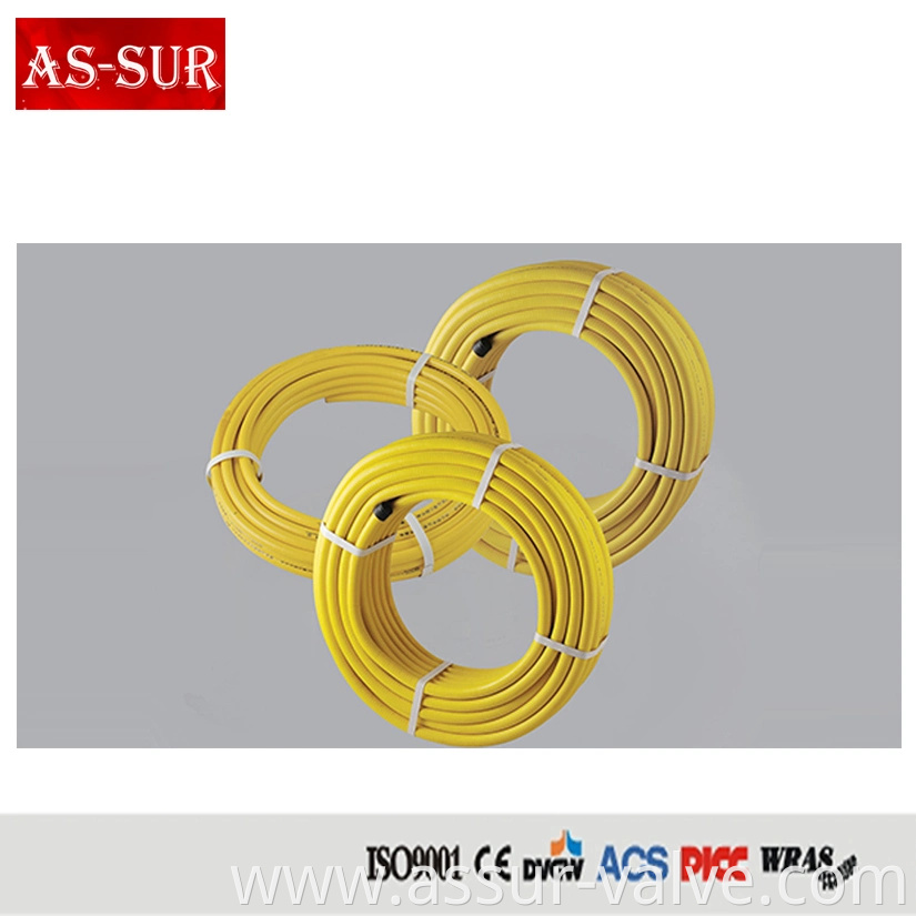 Stainless Steel Corrugated Flexible Gas Hose